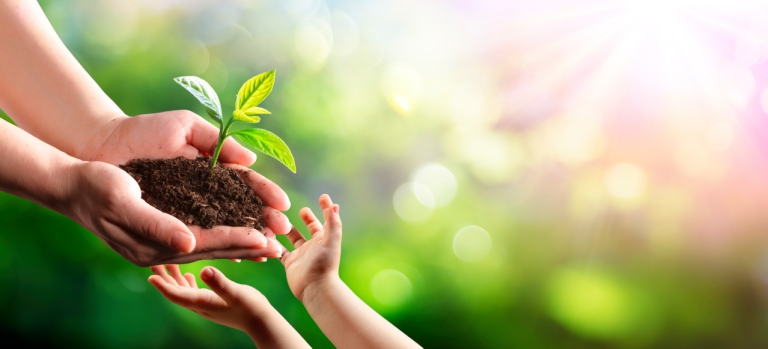 Growing green together